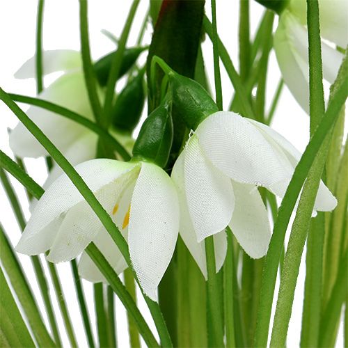 Floristik24 Perce-neige avec boule d'herbe 24cm