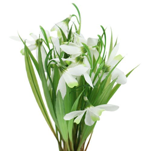 Floristik24 Perce-neige 23cm 7pcs
