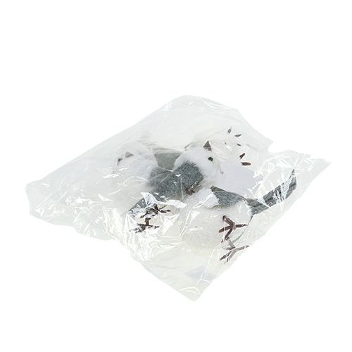 Floristik24 Oiseau des neiges avec bonnet 18cm blanc, gris 3pcs