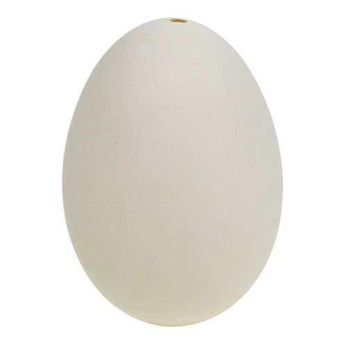 Floristik24 Oeufs de cygne 9cm blanc crème 6pcs