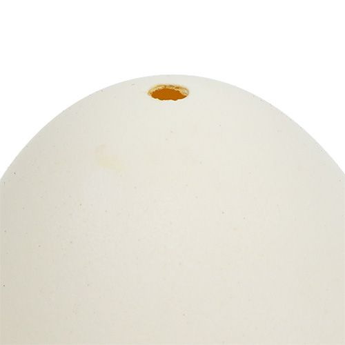 Floristik24 Oeufs de cygne 9cm blanc crème 6pcs