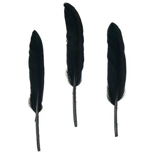 Plumes noires Plumes d&#39;oie décoratives noires 11-14 cm 180 pièces