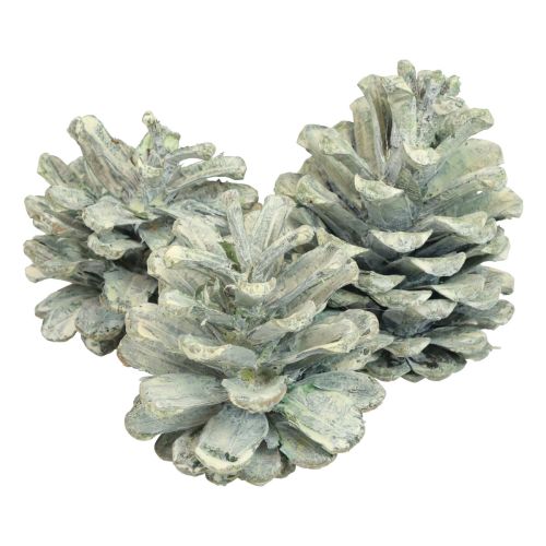 Floristik24 Pommes de pin noires décoration naturelle givrée verte 5–7cm 1kg