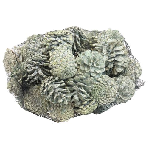 Article Pommes de pin noires décoration naturelle givrée verte 5–7cm 1kg