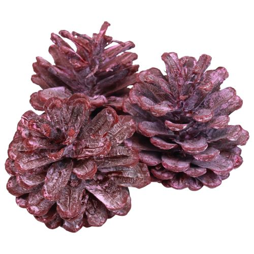 Article Pommes de pin noires décoration naturelle rouge dépolies 5–7cm 1kg
