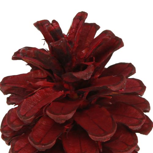 Article Pommes de pin noires Cônes décoratifs bordeaux rouges 6-8cm 6 pcs