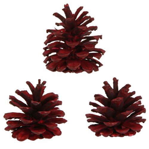 Article Pommes de pin noires Cônes décoratifs bordeaux rouges 6-8cm 6 pcs