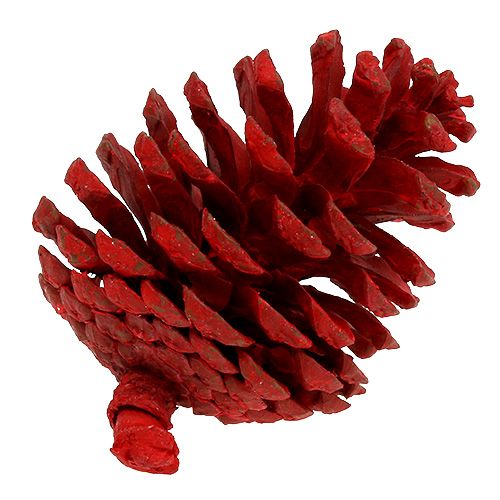 Floristik24 Pommes de pin noires rouges 50 pcs