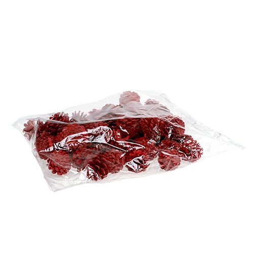 Floristik24 Pommes de pin noires rouges 50 pcs