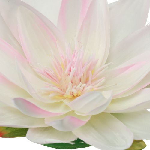 Article Nénuphars artificiels flottants pour décoration de table, blanc, rose, Ø15cm, 2 pièces