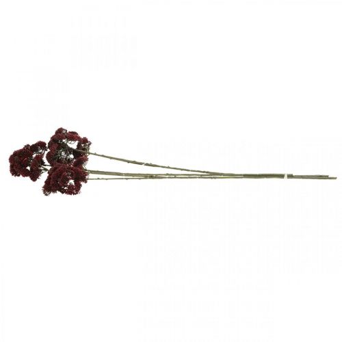 Floristik24 Décoration d'automne en orpin rouge artificiel Sedum 70cm 3pcs