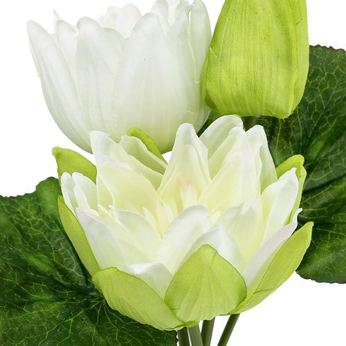 Floristik24 Nénuphar artificiel blanc 38 cm
