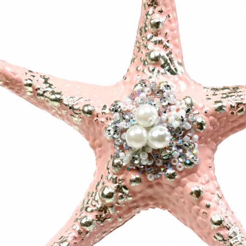 Floristik24 Cintre déco étoile de mer 12cm 3pcs