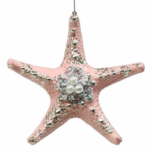 Floristik24 Cintre déco étoile de mer 12cm 3pcs