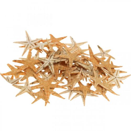 Article Starfish scatter decoration home deco mini étoile de mer nature 2-4cm 50p