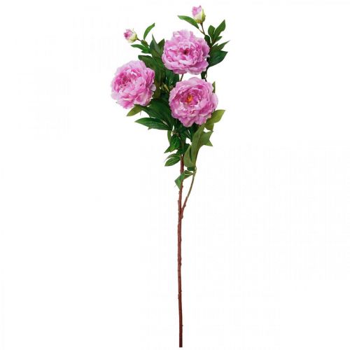 Floristik24 Fleur en soie pivoine artificielle rose violet 135cm