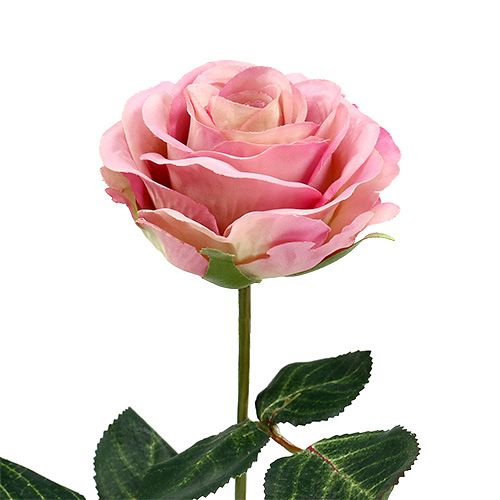 Floristik24 Fleurs en soie rose Ø7cm L37cm rose foncé 6pcs