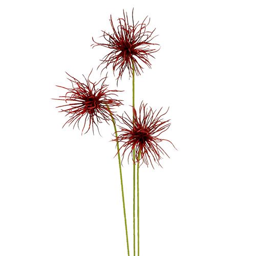 Floristik24 Fleurs en soie Xanthium Bordeaux 64cm 4pcs