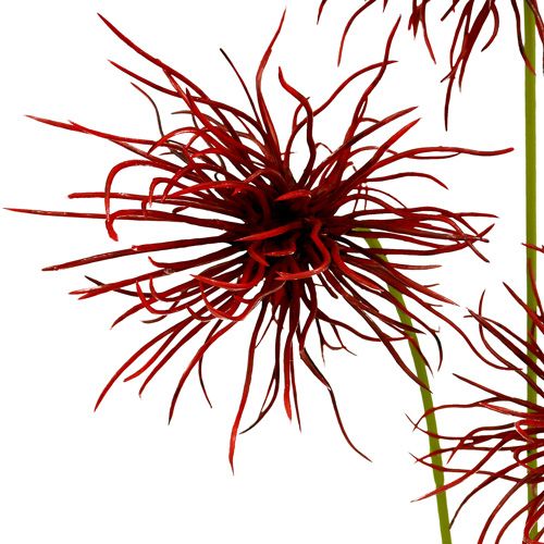 Floristik24 Fleurs en soie Xanthium Bordeaux 64cm 4pcs