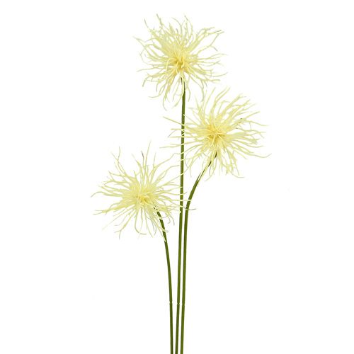 Fleurs de soie Xanthium crème 63 cm 4 p.