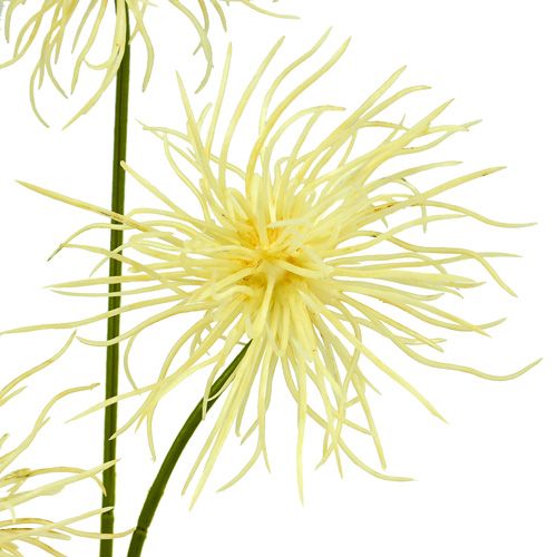 Article Fleurs de soie Xanthium crème 63 cm 4 p.