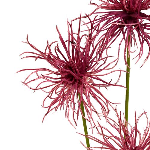 Floristik24 Fleurs de soie Xanthium Erica 63 cm 4 p.