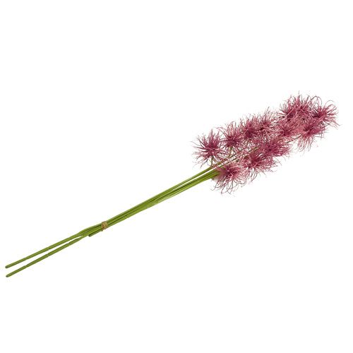 Floristik24 Fleurs de soie Xanthium Erica 63 cm 4 p.