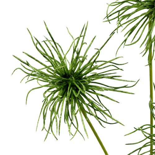 Floristik24 Fleurs de soie Xanthium vert 63 cm 4 p.