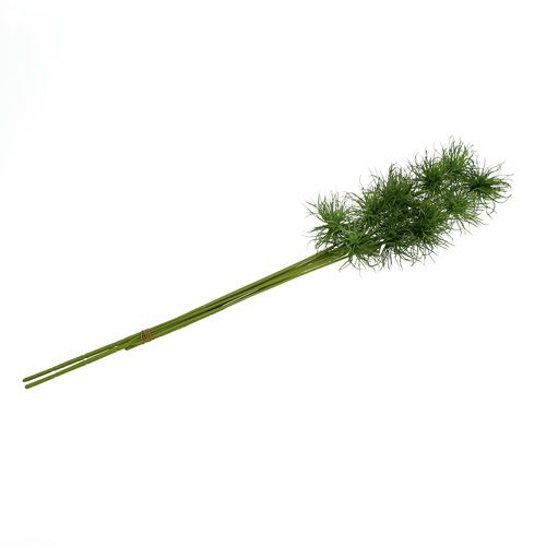 Floristik24 Fleurs de soie Xanthium vert 63 cm 4 p.