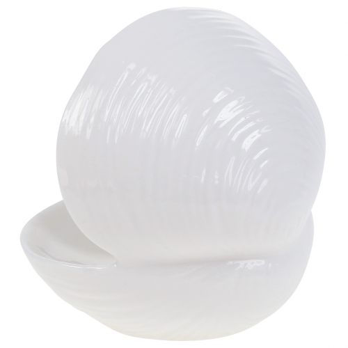 Floristik24 Porte-savon coquille 12cm x 10,5cm x 11cm blanc