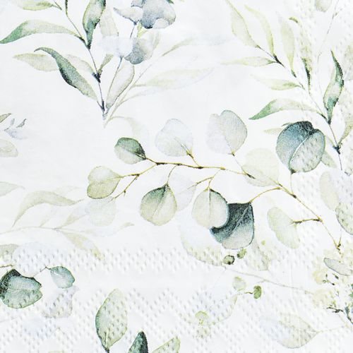 Floristik24 Serviettes eucalyptus décoration de table décorative blanc 25x25cm 20 pcs