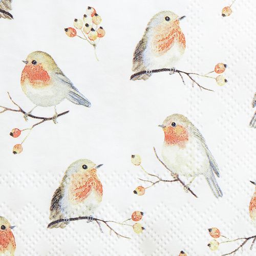 Floristik24 Serviettes Automne Robin Rose Musquée 25x25cm 20 pcs