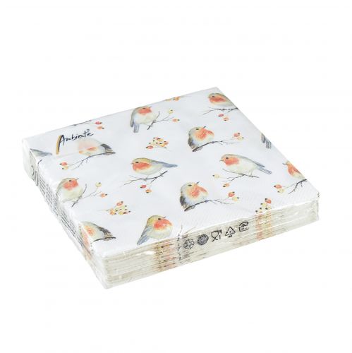 Floristik24 Serviettes Automne Robin Rose Musquée 25x25cm 20 pcs