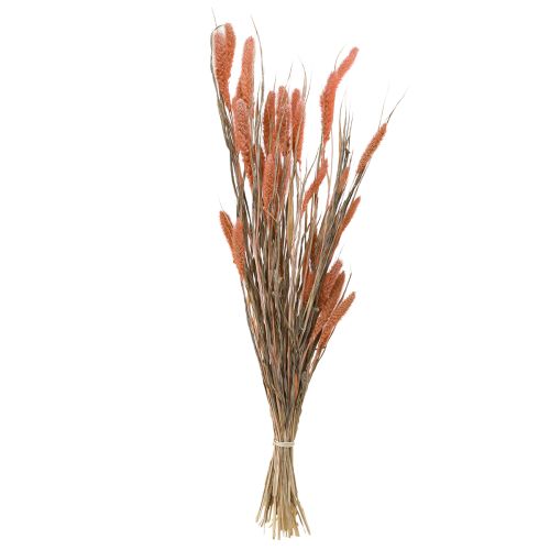 Article Setaria soies millet décor sec saumon 69cm 70-75g x 2pcs