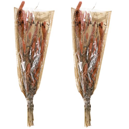 Article Setaria soies millet décor sec saumon 69cm 70-75g x 2pcs