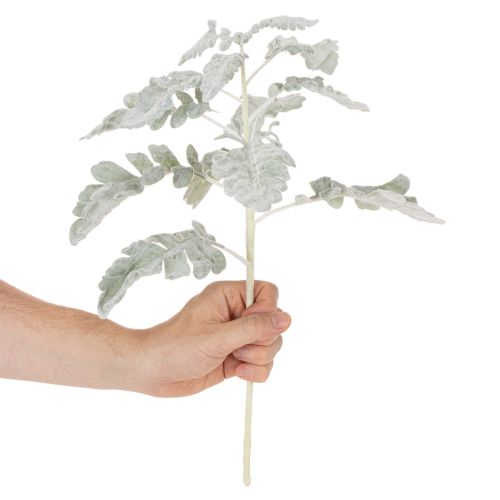 Branche de séneçon artificielle, feuille d'argent, finement travaillée, 45 cm, 3 pièces | Floristik24.be