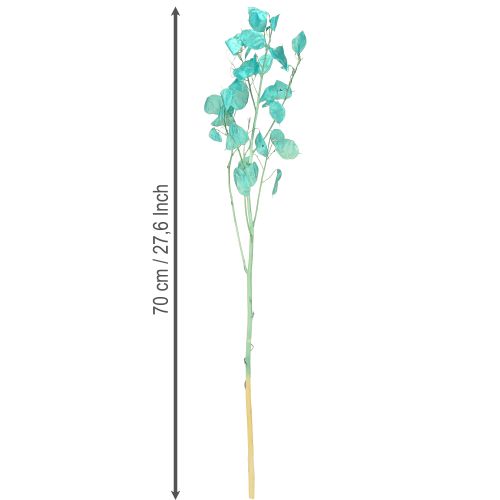 Article Feuille d&#39;argent séchée violette lunaire Lunaria bleu clair 65-70 cm 20 g