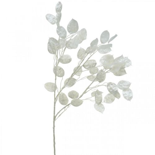 Floristik24 Branche décorative feuille d&#39;argent branche Lunaria blanche branche artificielle 70cm