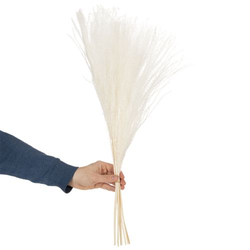 Article Fleurs séchées, graminées argentées. Décoration naturelle élégante pour la maison et le bureau. 70 cm, 10 pièces.