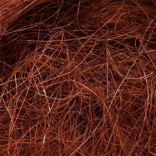 Floristik24 Sisal cuivré 250 g