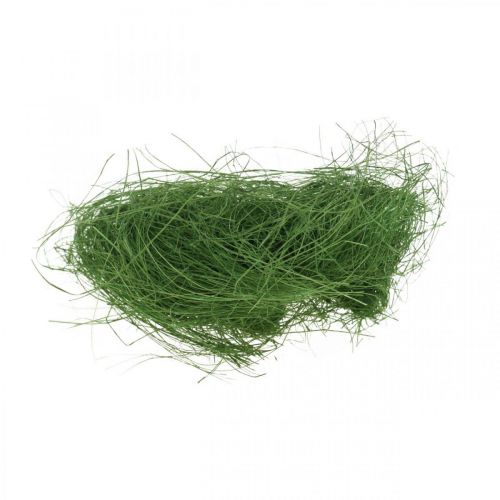 Floristik24 Fibre naturelle de sisal vert mousse pour décoration 300g