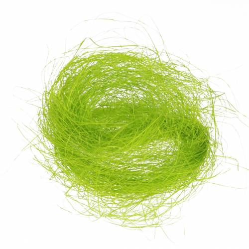 Floristik24 Herbe décorative sisal vert printemps 300g