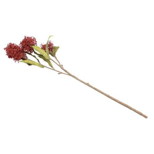 Article Skimmie Skimmia Japonica Fleurs Artificielles Bordeaux DryLook L59cm