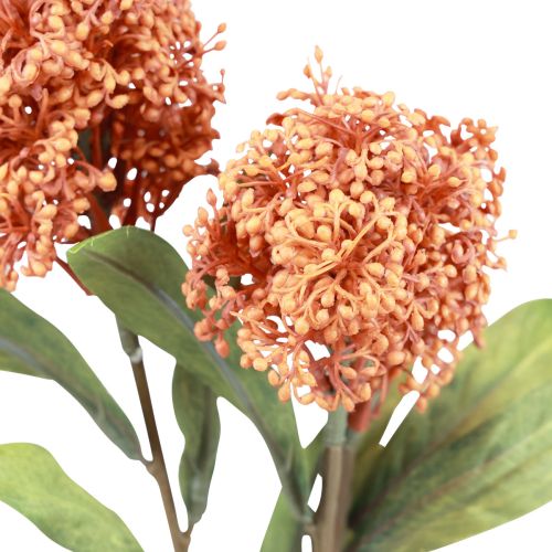 Article Skimmie Skimmia Japonica Fleurs Artificielles Orange DryLook L59cm