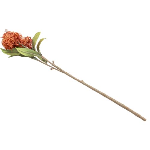 Article Skimmie Skimmia Japonica Fleurs Artificielles Orange DryLook L59cm