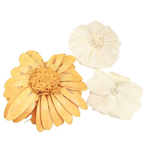 Article Sola fleurs en bois fleurs décoratives en bois mélange orange 6-11cm 12-15 pcs