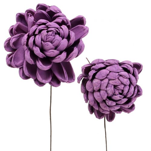 Floristik24 Fleurs sur fil violet foncé 8cm 12 pcs
