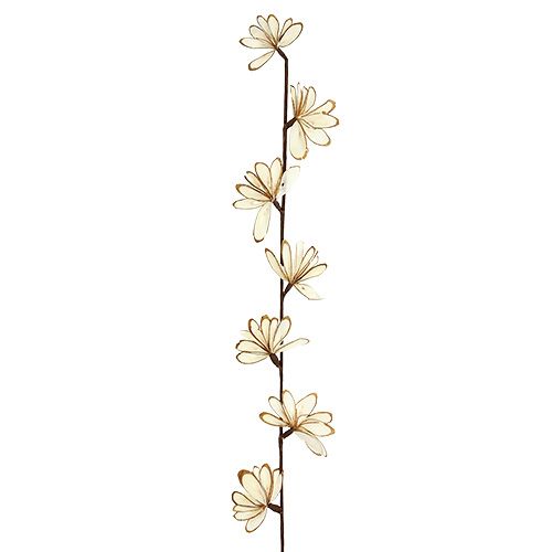 Floristik24 Sola Chips Sunny Stick Marron, Blanc 6 pcs.