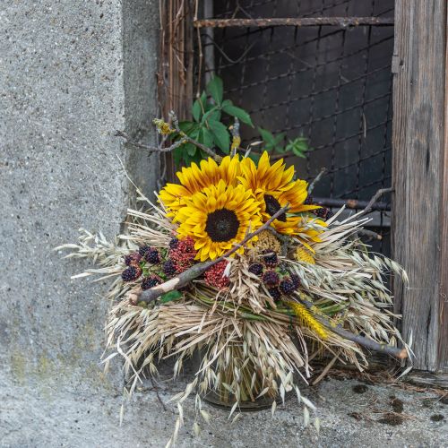 Floristik24 Buisson de tournesol 40cm