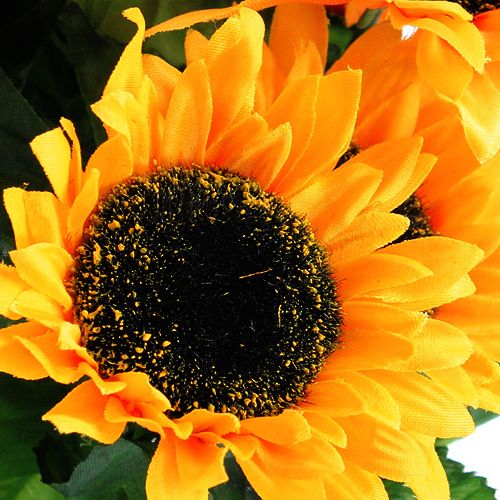 Floristik24 Buisson de tournesol 40cm